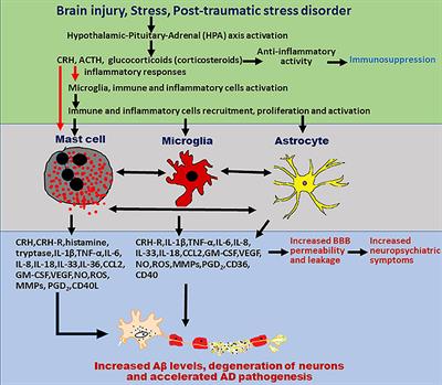 Pathogenesis of Neurodegenerative Disorders (Contemporary Neuroscience)